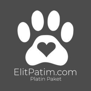 Gümüş Paket