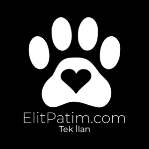 Tek İlan